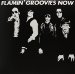 Flamin' Groovies - Now