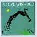 Winwood Steve - Arc Of A Diver
