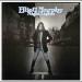 Elliott Murphy - Night Lights