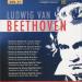 Ludwig Van Beethoven - Vol 31 :rondo For Piano No.1 In C, Op.51; Rondo For Piano No.2 In G, Op.51; Rondo For Piano In C, Woo 48; Rondo For Piano In A, Woo 49; Varaitions For Piano In F, Woo 64; Variations For Piano In D, Woo 65; Variations For Piano In A, Woo 69  Jeno Nando, Ru