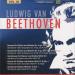 Ludwig Van Beethoven - Vol 38 :sonata For Violin And Piano No.4 In A Minor, Op.23; Sonata For Violin And Piano No.5 In F, Op.24 (spring); Variations For Piano And Violin, Woo 40; Rondo For Violin And Piano In G, Woo 41; Sonata For Piano In C, Woo 51  Emmy Verhey, Takako Nisjiza
