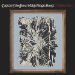 Captain Beefheart & His Magic Band - Mirror Man