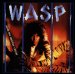 Wasp - Inside Electric Circus