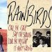 Rainbirds - Call Me Easy Say I'm Strong Love Me My Way It Ain't Wrong By Rainbirds