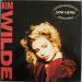 Kim Wilde - You Came (the Shep Pettibone Mix)