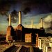 Pink Floyd - Animals