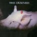 Damned - Strawberries