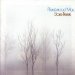 Fleetwood Mac - Bare Trees