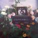 Steppenwolf - Rest In Peace