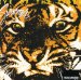 Survivor - Eye Of The Tiger