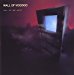 Wall Of Voodoo - Call Of West