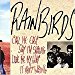 Rainbirds - Call Me Easy Say I'm Strong Love Me My Way It Ain't Wrong By Rainbirds