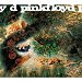 Pink Floyd - Saucerful Of Secret