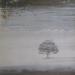 Genesis - Wind & Wuthering