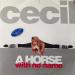 Cecil - A Horse With No Name