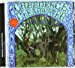 Creedence Clearwater Revival - Creedence Clearwater Revival