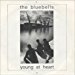 Bluebells - Young At Heart