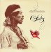 Jimi Hendrix - Crash Landing