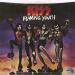 Kiss - Flaming Youth -us