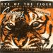 Survivor - Eye Of The Tiger (theme From Rocky Iii)