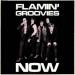 Flamin'groovies - Now