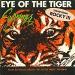 Survivor (rocky 3) - Eye Of The Tiger / Take You On A Saturday