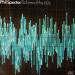 Spector Phil (phil Spector) - Echoes Of The 60s
