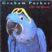 Parker - Real Macaw