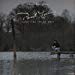 Paul Young - Every Time You Go Away
