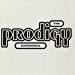 The Prodigy - Experience