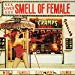 Cramps - Smell Of Female By Cramps
