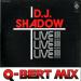Dj Shadow - Q-bert Mix (live!!)