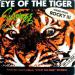 Survivor - Eye Of The Tiger
