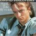 Hallyday David - Wanna Take My Time / Shadow Side