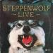 Steppenwolf - Live