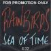 Rainbirds - Sea Of Time