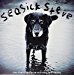 Seasick Steve - You Can't Teach An Old Dog New Tricks