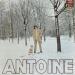 Antoine - Belles Chansons