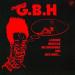 G.b.h - Leather, Bristles, No Survivors And Sick Boys...