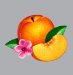 Phoenix - Bankrupt!