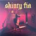Fontaines D.c. - Skinty Fia