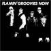 Flamin Groovies - Now