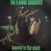 Flaming Groovies (the) - Jumpin' In The Night