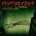 Counting Crows - Recovering The Satellites