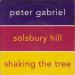 Peter Gabriel - Solsbury Hill