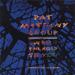Metheny Pat - To Road To You