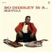Bo Diddley (61) - Is A Lover
