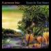 Fleetwood Mac - Tango In The Night