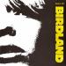 Birdland - Hollow Heart